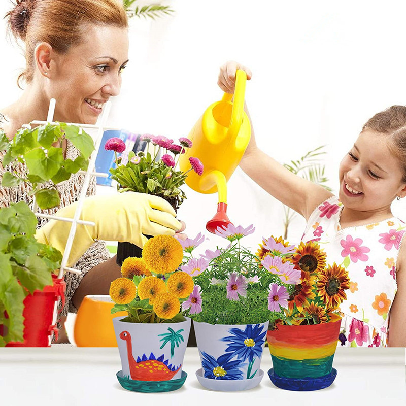 Bonsai tree kit2.jpg