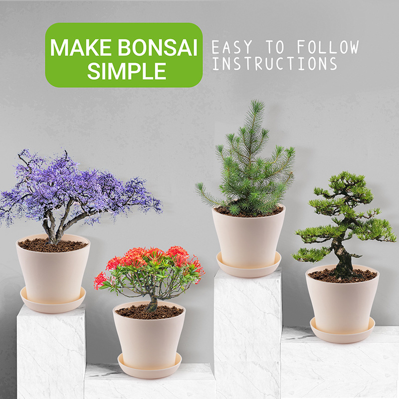 Gardening Starter Kit3.jpg